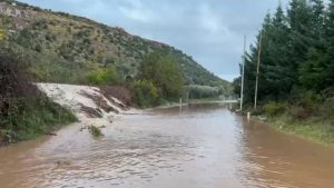 640-0-1699805442ximg-6104-879