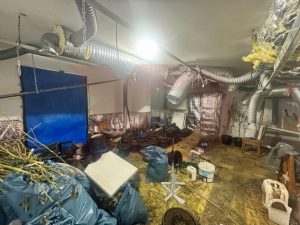 laboratori-i-droges-dardani-ne-prizren