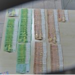 615340014_1188034983536758_5463486926723252349_n