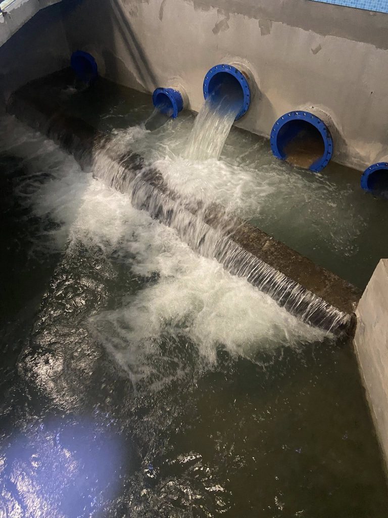 608862184_1399451438645365_5929035310020696532_n