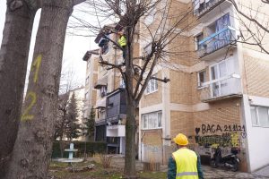 627679228_1333402898819361_2430832425730509895_n