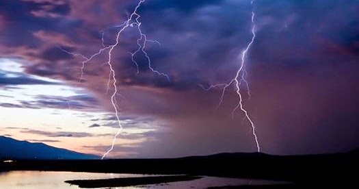 vete